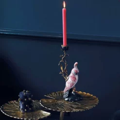 &klevering Candelabro Cacatua