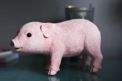 &klevering Pink Piggy Coin Box