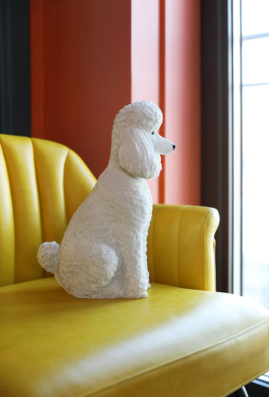 &klevering Sitting Poodle Money Box 5 &klevering Sitting Poodle Money Box