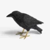&klevering Crow Money Box