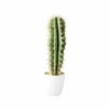 &klevering Chimaltenago Faux Cactus