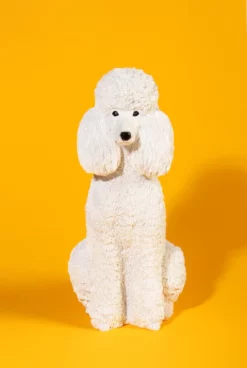 &klevering Sitting Poodle Money Box 7 &klevering Sitting Poodle Money Box